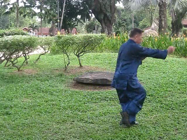 Wu Yu Xiang Style Taijiquan